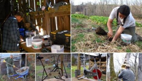 Pedal Powered Soil Testing Image